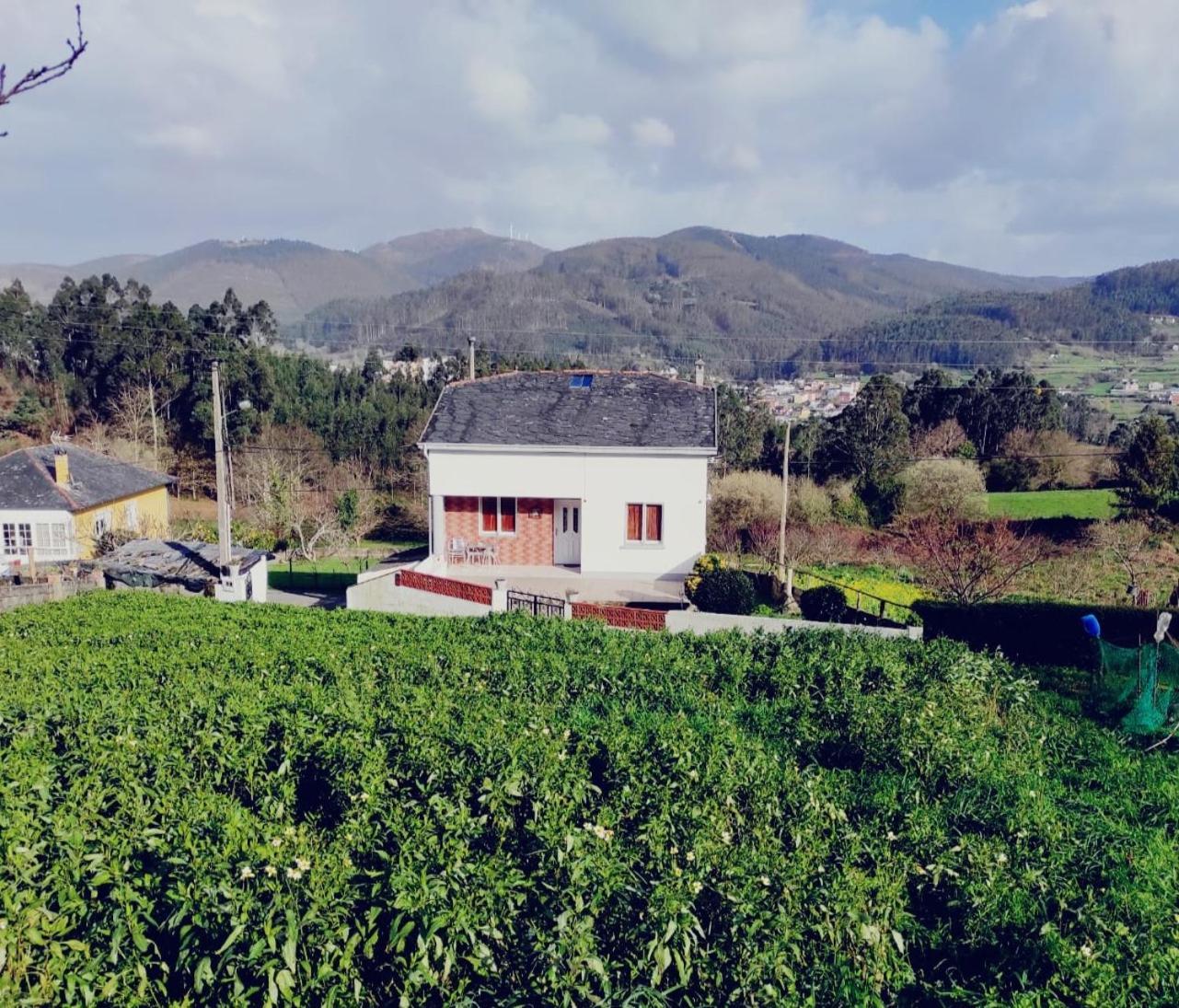 Casa Familiar Con Finca Privada 비베이로 외부 사진